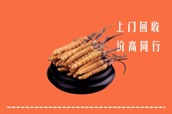 高价求购：颍东区回收散虫草