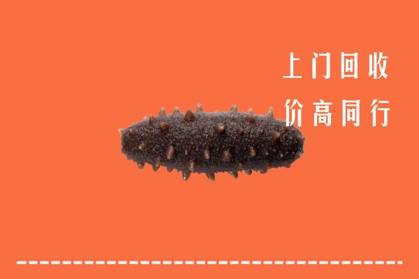 颍东区回收海参