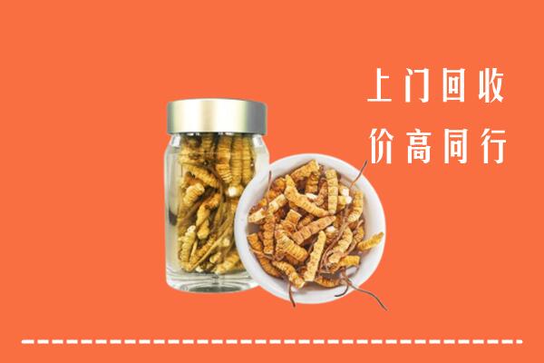 颍东区回收冬虫夏草